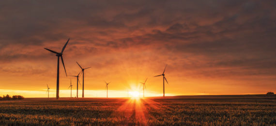 Oito aerogeradores e um campo no por do sol