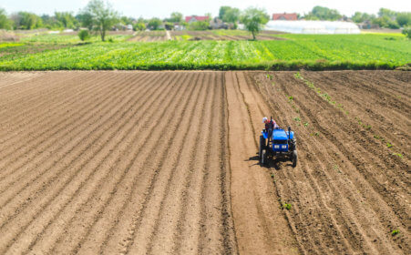 Arrendamento rural - Agricultor arando a terra que arrendou através de contrato